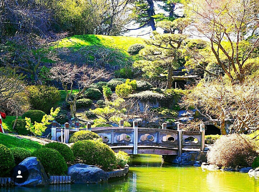 A wooden bridge over a pond at the Brooklyn Botanic Garden, surrounded by trees and manicured shrubs